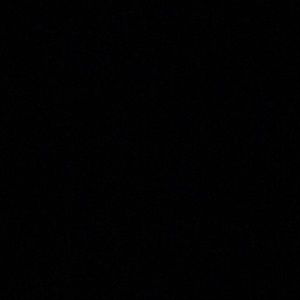 Meet your Posher, Bonnie